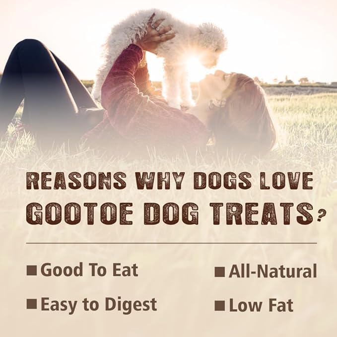 Gootoe Soft Dog Treats, Chicken Jerky - Dog Training Treats; High-Protein, Gluten-Free, Soft Jerky for Dogs, Hypoallergenic, Grain-Free, Dental Chews, 1.5 lb