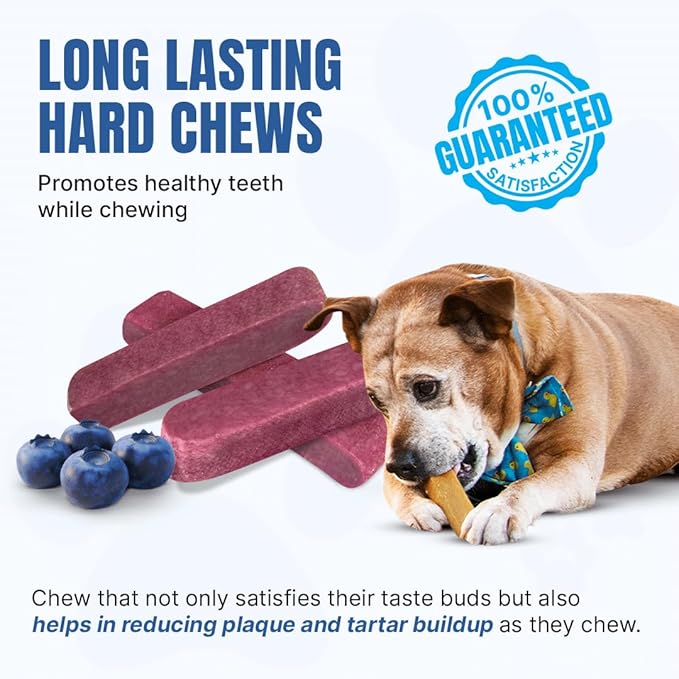 Tibetan Dog Chew Yak Cheese Sticks (3 Large Chews) Blueberry Flavored - Handmade Treats for Large Dogs, Long-Lasting, Easy to Digest, Grain-Free, Gluten-Free, for Aggressive Chewers