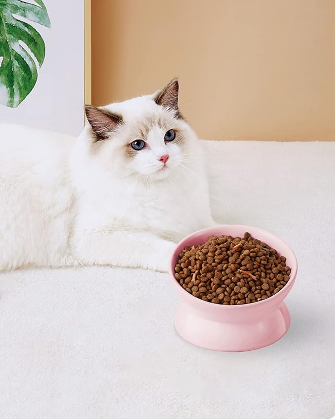 LoeJan Elevated Cat Food Bowl, 5 Oz Ceramic Raised and Tilted Water Bowl, Anti Vomiting and Protect Pets' Spines Dishes for Small Dog, Fat Faced Cat, Kitten (Pink, 1 Pack)