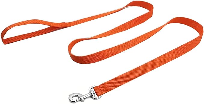Strong Nylon Dog Leash, 4FT/ 5 FT/ 6FT Dog Leashes for Medium Large Dogs (5FT, Orange)