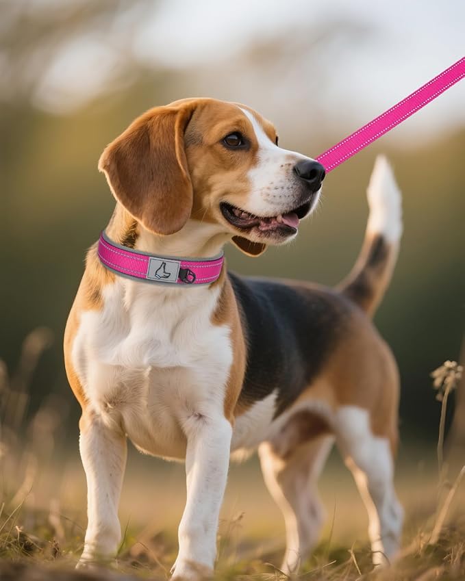 Joytale Dog Collar for Medium Dogs, Neoprene Padded and Adjustable, Reflective Wide Heavy Duty Pet Collars with Durable Metal Belt Buckle for Walking, Hotpink, M