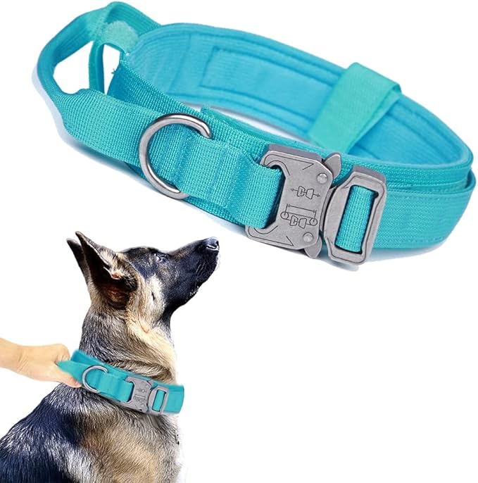Xqpetlihai Tactical Dog Collar Adjustable Military Nylon Dog Collar with Control Handle and Heavy Duty Metal Buckle for Medium and Large Dogs (Blue,L)