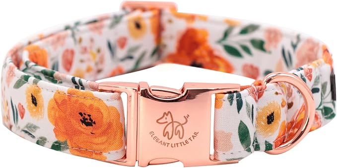 Elegant little tail Fall Dog Collar, Pet Collar Durable Orange Floral Dog Collars Male or Female Holiday Pet Gift Adjustable Dog Collar for Small Dogs