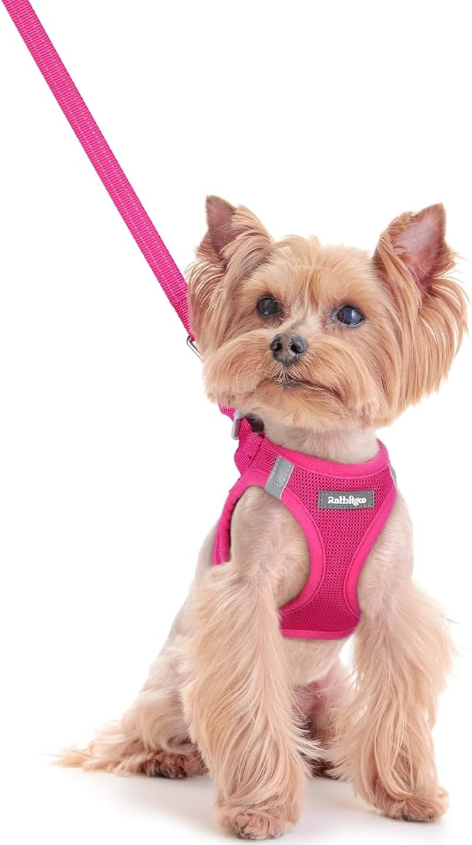 rabbitgoo Dog Harness Small Sized and Leash Set, Step in Soft Light Puppy Vest, Breathable Mesh Pet Harness, Reflective for Safe Easy Walking, Rose Red XXS