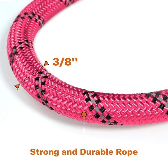 Taglory Rope Dog Leash 6 FT with Comfortable Padded Handle, Highly Reflective Threads Leash for Small Dogs, 3/8 inch, Pink
