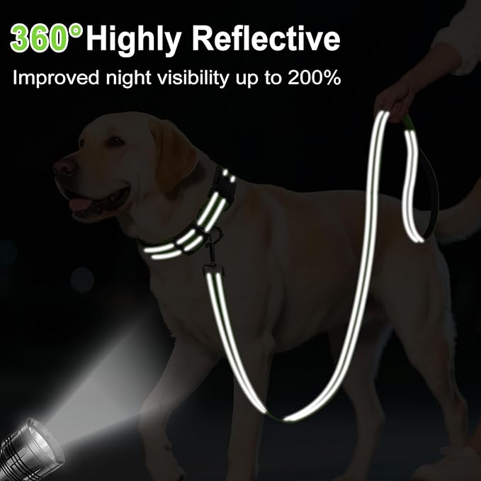 Reflective Dog Leash 6ft Soft Padded Handle Nylon Lead for Medium & Large Dogs, Durable Walking Training Leash for Night Safety (Green,1Inch Wide)