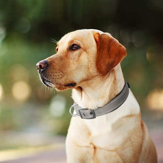 Fida Heavy Duty Dog Collar, Ultra Comfortable Soft Neoprene Padded, Adjustable Reflective Nylon Pet Collar with Durable Metal Belt Buckle for Large Breeds (L, Grey)