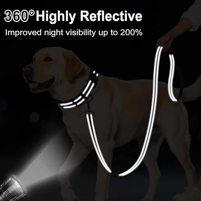 Reflective Dog Leash 4ft Soft Padded Handle Nylon Lead for Small & Medium Dogs, Durable Walking Training Leash for Night Safety (Black,1Inch Wide)