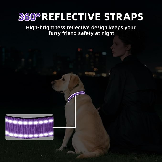 Reflective Dog Collar for Extra Large Dogs, Adjustable Collar with Soft Neoprene Padded, Durable Buckle for Daily Walking,Purple,XL