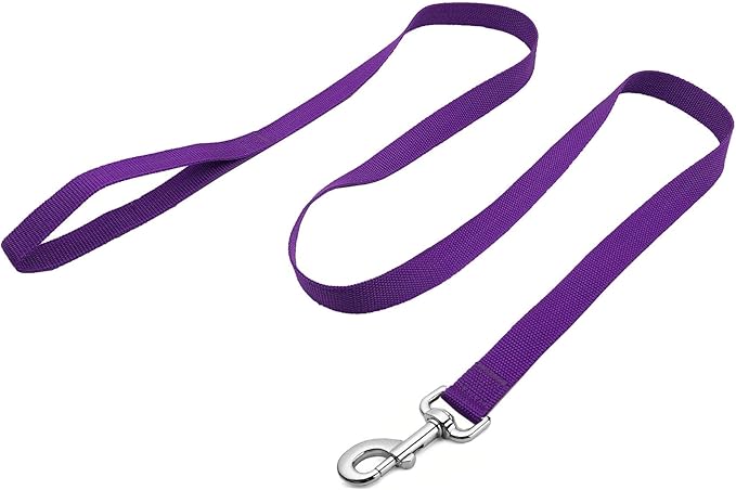 Strong Nylon Dog Leash, 4FT/ 5 FT/ 6FT Dog Leashes for Medium Large Dogs (5FT, Purple)