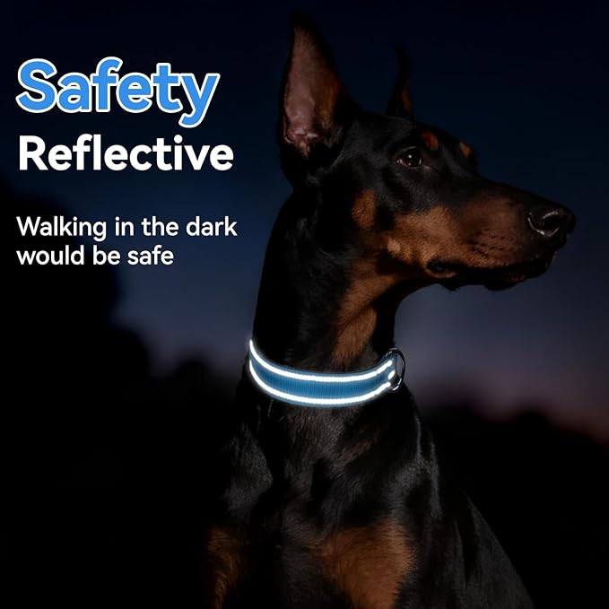 Soft Reflective Dog Collar for Extra Small Dogs, Lightweight Adjustable Puppy Collar with Neoprene Padding, Gentle Nylon for Chihuahua Yorkie,Aqua Blue,XS