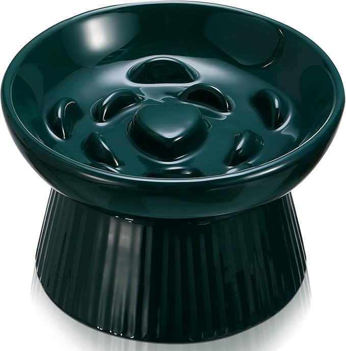 Tioncy 1 Pcs Raised Cat Slow Feeder Bowl Ceramic Elevated Cat Dog Food Bowl No Spill High Edge for Dry Wet Food and Water Easy to Clean, Dishwasher Safe (Dark Green)