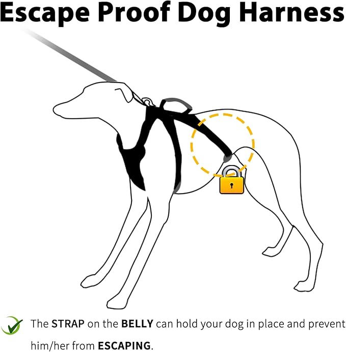 Huntboo Escape Proof Dog Harness, Escape Artist Harness, Fully Reflective Harness with Padded Handle, Breathable, Durable, Adjustable Vest for Small Dogs Walking, Training, and Running Gear (Orange,S)