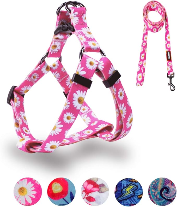 QQPETS Dog Harness Leash Set Adjustable Heavy Duty No Pull Halter Harnesses for Small Medium Large Breed Dogs Back Clip Anti-Twist Perfect for Walking (L(23"-32" Chest Girth), Daisy)