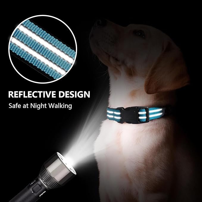 Hikiko Martingale Dog Collars Reflective Nylon Dog Collar with Quick Release Buckle Adjustable Training No Slip Dog Collar (Medium, Light Blue)