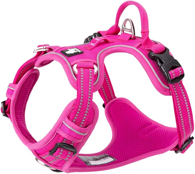 TRUE LOVE Dog Harness No Pull Nylon Reflective Pet Harness Adjustable Comfortable Control Step-in Brilliant Colors Truelove TLH56512 Fuchsia
