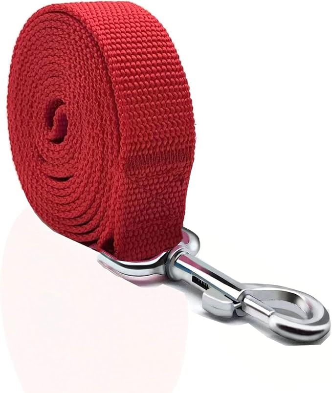 Nylon Dog Leash 8 Feet Long, Walking Training Dog Leashes for Medium Large Dogs