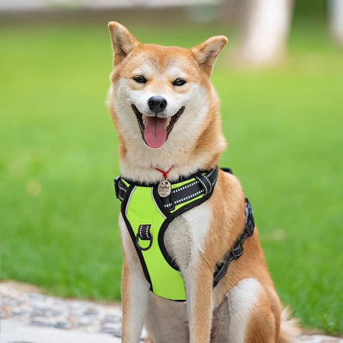 PoyPet No Pull Dog Harness, Reflective Comfortable Vest Harness with Front & Back 2 Leash Attachments and Easy Control Handle Adjustable Soft Padded Pet Vest for Small to Large Dogs (Green,S)