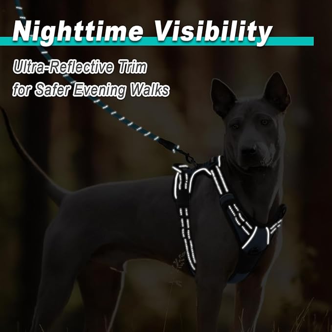 BARKBAY Dog Harness No Pull Mesh for Small Dogs - Adjustable, Reflective, Comfortable, No Choke, Heavy-Duty - Perfect for Outdoor Training, Walking, and Hiking-Strong&Durable- S & Sapphire Blue Mesh