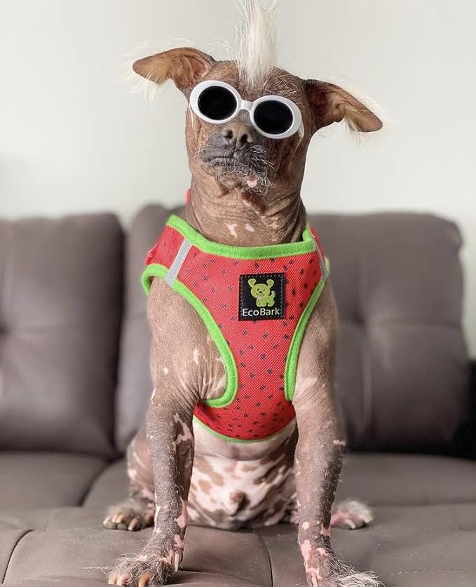 EcoBark Step in Dog Harness - Eco-Friendly Small & Mediuim Breed Dog Harnesses for XS and Small Dogs - Reflective and Adjustable Mini Body Halter Vest - Soft Mesh Toy Breed Harness (Watermelon, Large)