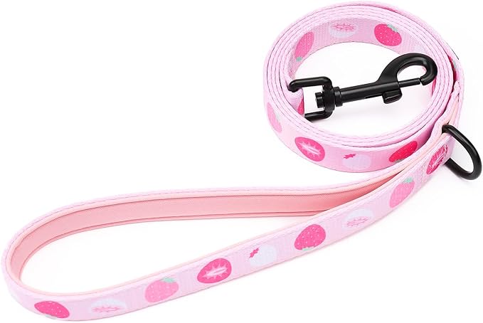 Dog Harness and Leash Set, Adjustable Dog Harness, Dog Leash, No Pull No Choke Puppy Harnesses for Walking Training for Small Medium Pet (Strawberries, S(Chest 13-19", Neck 9.5-13.1"))