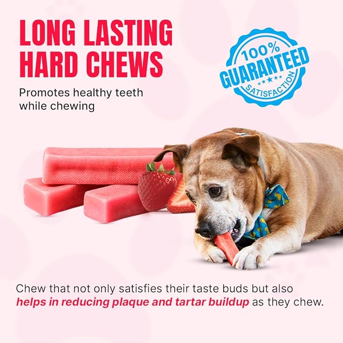 Tibetan Yak Cheese Dog Chew Sticks (4 Medium Chews) Strawberry Flavored - Natural, Handmade, Long-Lasting, Easy to Digest, Ideal for Medium Dogs and Aggressive Chewers, Rawhide, Grain and Gluten Free