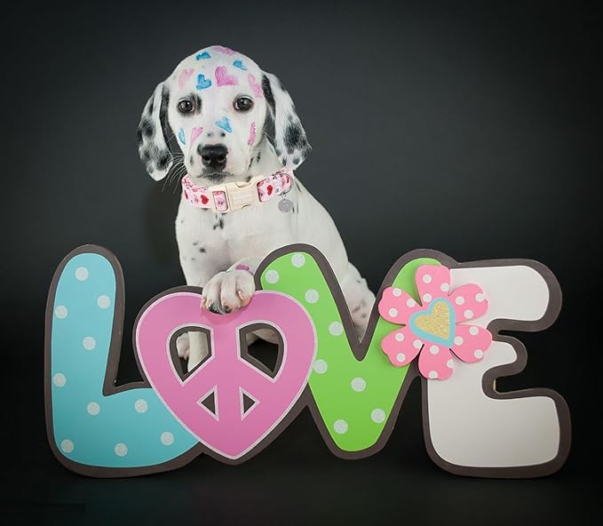 DOGWONG Pink Heart Dog Collar, Small, Soft Cotton, Unique Valentine's Day Design, Breakaway Closure