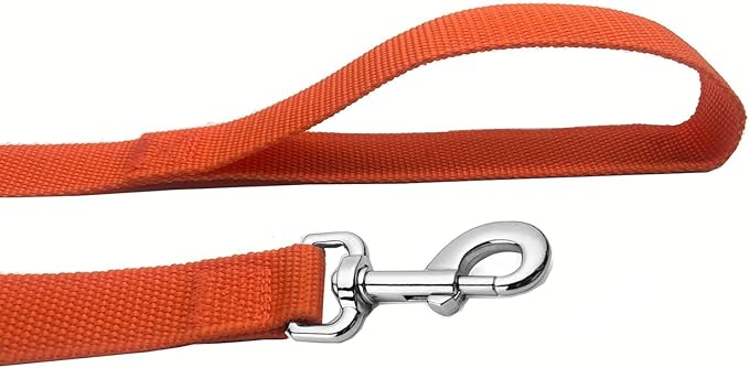 Strong Nylon Dog Leash, 4FT/ 5 FT/ 6FT Dog Leashes for Small Medium Dogs