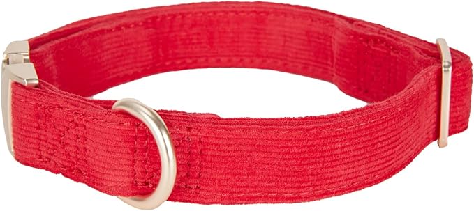 Soft Corduroy Fibric Dog Collar with High Grade Metal Buckle, for Small Dogs.(Red,Small:10-15")