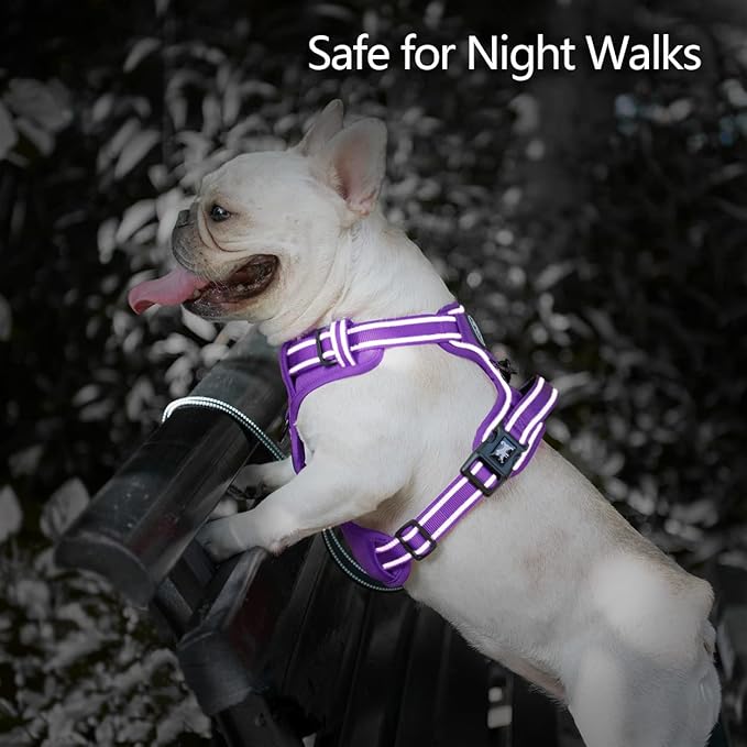 PoyPet No Pull Dog Harness, No Choke Reflective Dog Vest, Adjustable Pet Harnesses with Easy Control Padded Handle for Small Medium Large Dogs(Purple Matching Trim,XS)