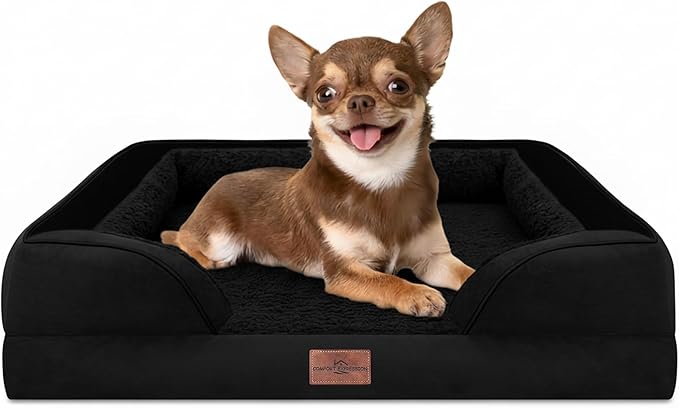 Comfort Expression Orthopedic Dog Bed for Small Dogs 24x16 Inch, Waterproof Supportive Egg Crate Foam Small Pet Bed with Removable Bolsters, Dog Couch with Washable Cover & Non-Slip Bottom, Black