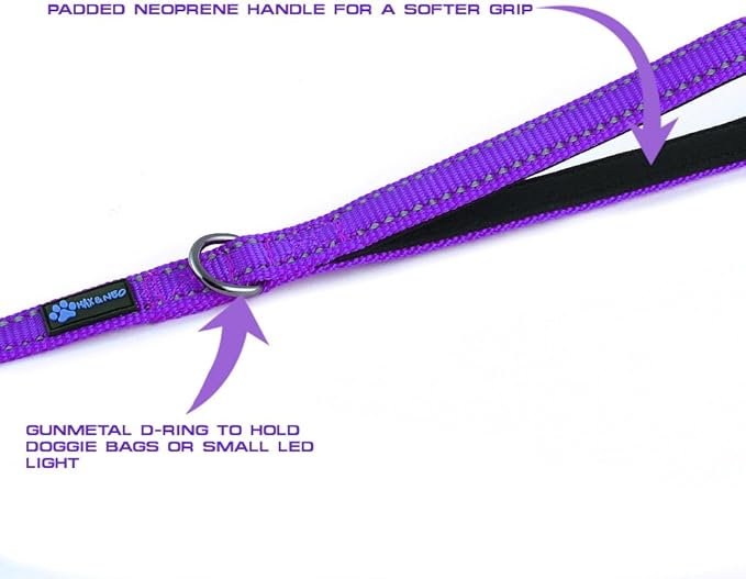 Max and Neo Small Dog Leash - Reflective Nylon, Donates to Dog Rescue (Purple, 6x5/8)