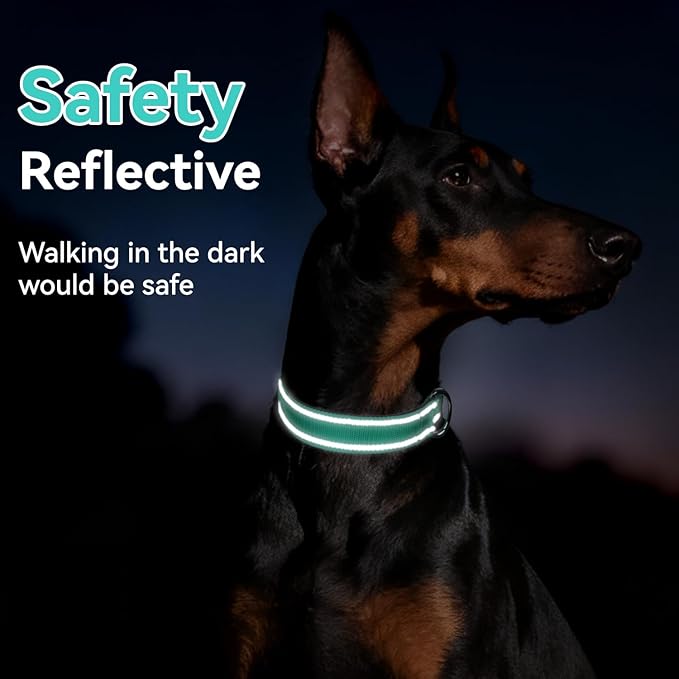 Soft Reflective Dog Collar for Extra Small Dogs, Lightweight Adjustable Puppy Collar with Neoprene Padding, Gentle Nylon for Chihuahua Yorkie,Teal,XS