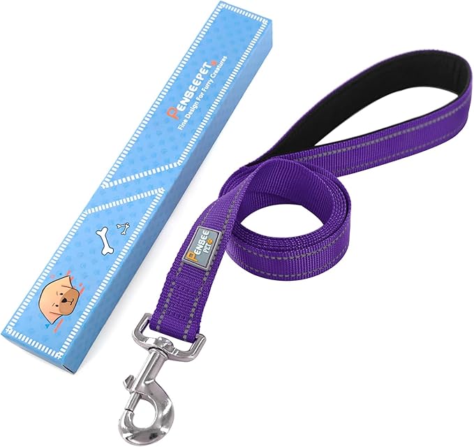 Dog Leash 6 FT Padded Handle Nylon Reflective Dogs Leashes for Medium Dogs Purple