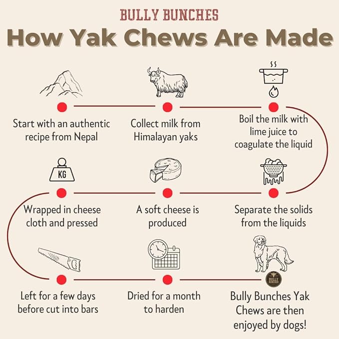 Bully Bunches Large Authentic Yak Cheese Himalayan Chews for Large Dogs & Heavy Chewers - All Natural Dog Treat Dental Chews, Made with Real Yak Milk - Lactose & Rawhide Free (6 Pk)