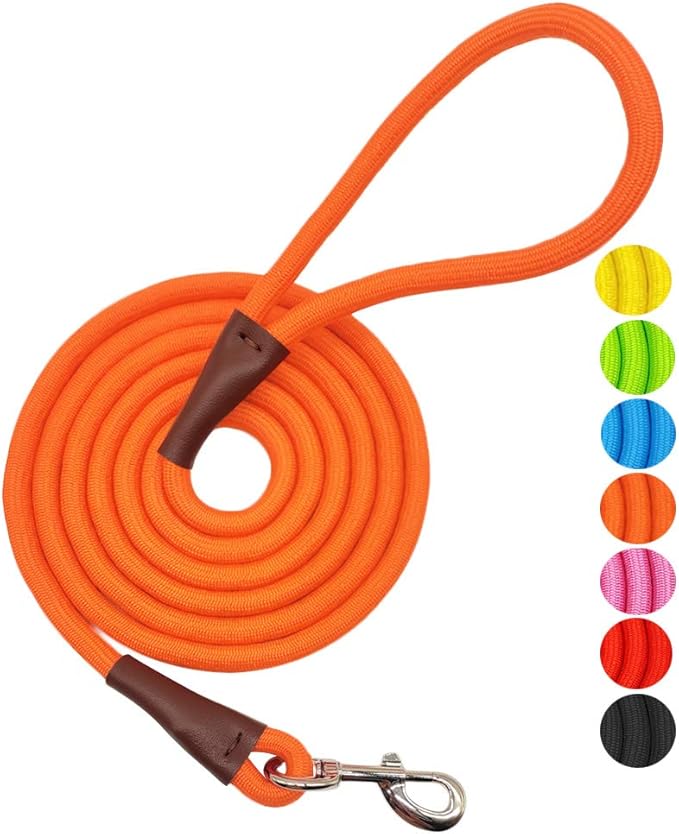 MayPaw 4/6 /8/10 FT Dog Leash, Classic Solid Colors, Strong Nylon Rope Dog Leash Reinforced with Leather Tailor Connection Heavy Duty Silver Clasp (10ft*1/2", Orange)