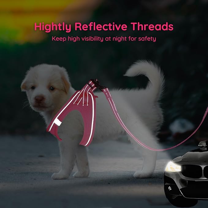 BELLA & PAL Step in Vest Harness for Small and Medium Dogs, No Pull Small Dog Harness with Leash Set, Comfortable Air Mesh Dog Vest Harness with Reflective Strip (Hot Pink, XXS)