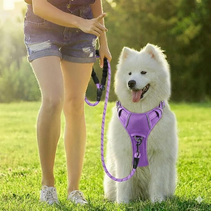 BARKBAY Dog Harness No Pull Oxford with ID Tag Pocket - Heavy Duty, Reflective, Easy Control for Large Dogs(Violet Purple Oxford,XS)