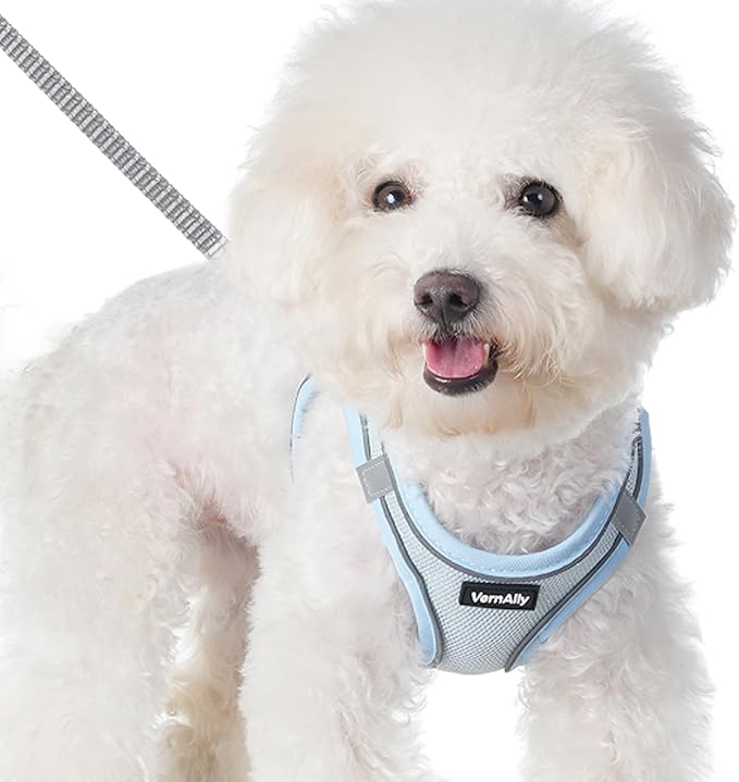 Sparkly Dog Harness Small Sized and Leash Set for Small Dogs Cats,Blue XS Puppy Harness, Step in Soft Dog Reflective Vest, Breathable Mesh Pet Harness. (Blue, XS)