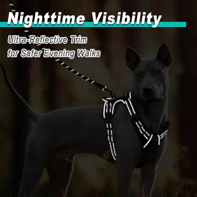 BARKBAY Dog Harness No Pull Mesh for Small Dogs - Adjustable, Reflective, Comfortable, No Choke, Heavy-Duty - Perfect for Outdoor Training, Walking, and Hiking - Strong & Durable - XS & Black Mesh