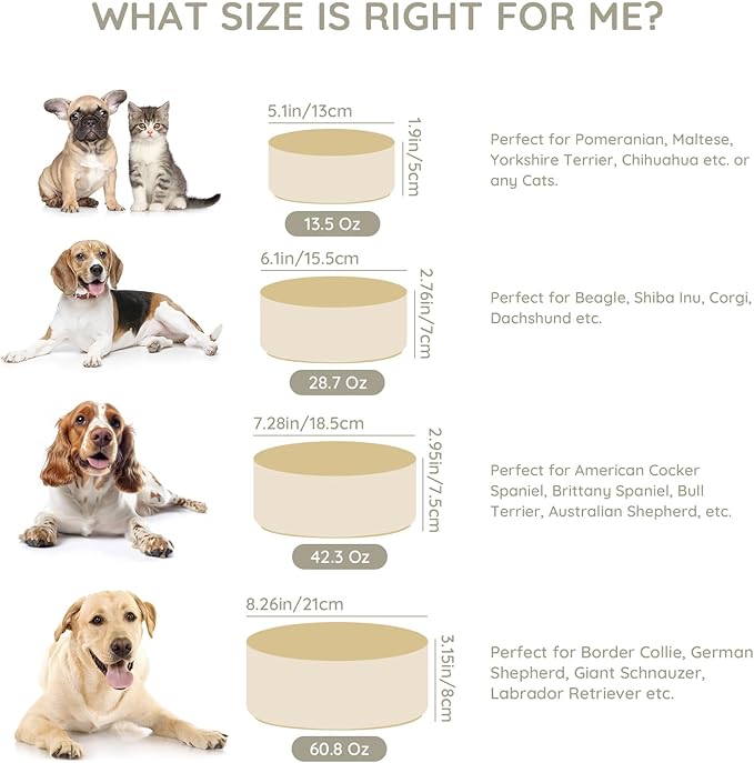 SPUNKYJUNKY 42OZ Ceramic Dog and Cat Bowl, Modern Cute Weighted Food Water Bowl for Replacement Beige (2 Pack)