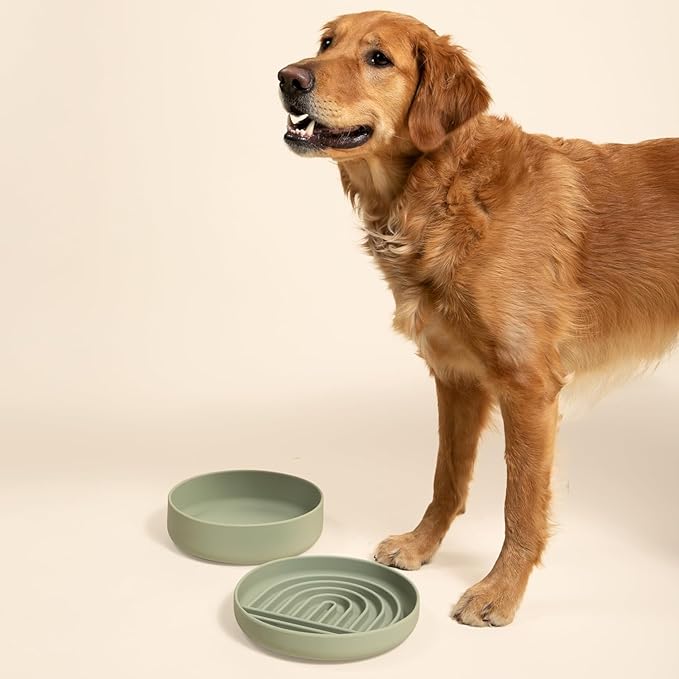 Should We Go? Dog Water Bowl - The Perfect Dish No-Spill, Less Mess Non-Tippable Water & Food Bowl, Pure Silicone with Suction Cup, Fits 8 Cups 9.5" Across x 2.5" Tall, Ideal for All Pets, Large-Blush