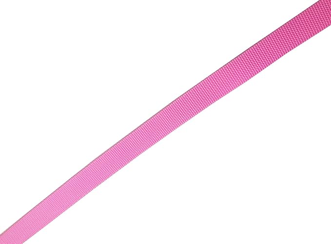 Nylon Dog Leash 12 Feet Long, Walking Training Dog Leashes for Medium Large Dogs(1" X 12 ft, Pink)