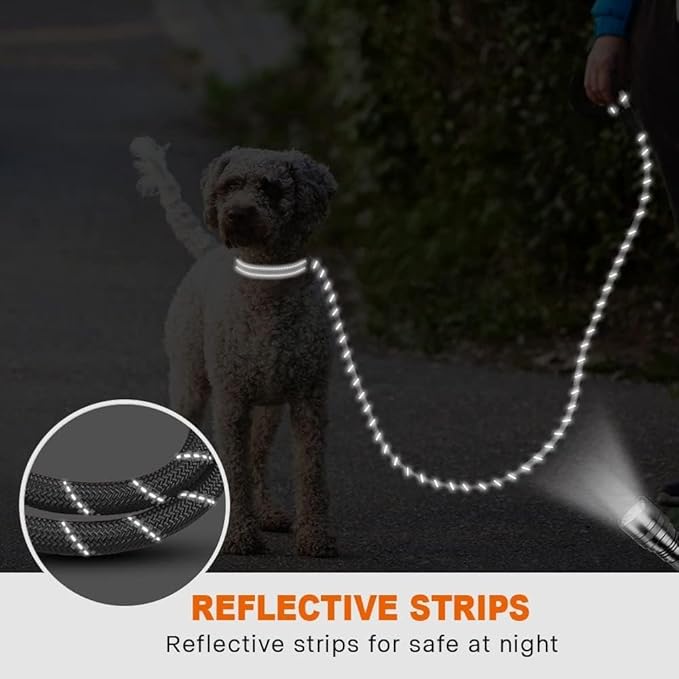 Taglory Rope Dog Leash 6FT with Comfortable Padded Handle, Highly Reflective Threads Leash for Small Dogs, 3/8 inch, Grey
