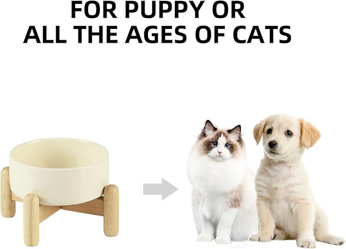 Ceramic 5.1inch Raised Dog and Cat Bowl Set, Elevated with Wooden Stand, Food and Water Bowl for Small Breed Dogs, Cats, Kitty, Weighted Dog Dishes, Pet Bowls(13.5oz, Beige)