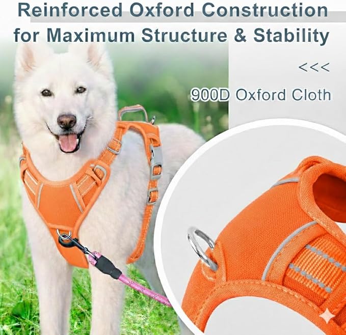 BARKBAY Dog Harness No Pull Oxford with ID Tag Pocket - Heavy Duty, Reflective, Easy Control for Large Dogs(Pumpkin Oxford,S)