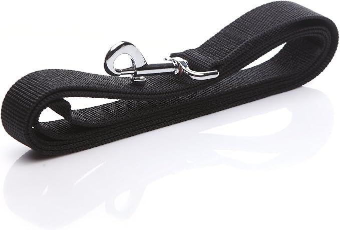 Nylon Dog Leash 12 Feet Long, Walking Training Dog Leashes for Medium Large Dogs(1" X 12 ft, Black)