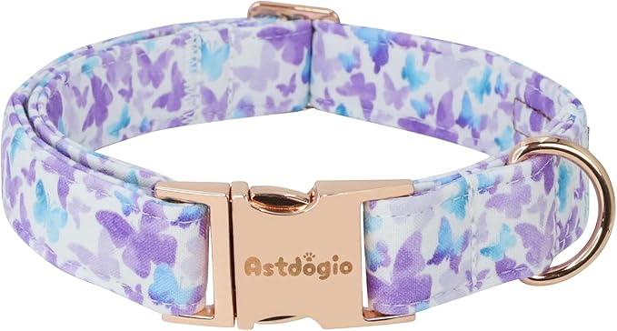 Elegant Butterfly Dog Collar, Purple Blue Gradient Design Collars for Dogs, Adjustable Comfortable for Small Medium Large Dogs, Handmade Cotton Puppy Collar for Daily Walks ?갥ark Adventures-L