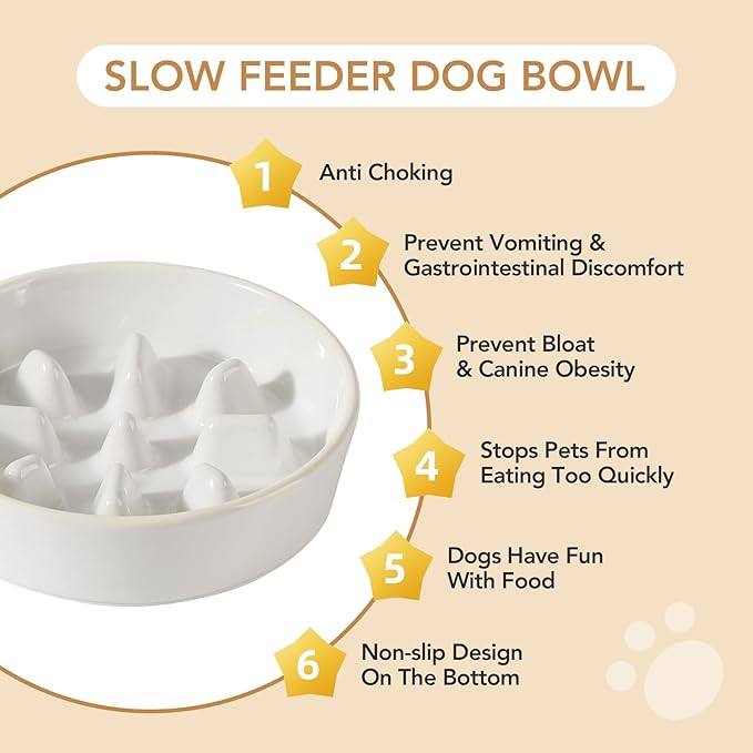 Ceramic 1.2 Cup Raised Slow Feeder Dog Bowl Set, Elevated 6.1inch Bowl and 7.3inch Slow Feeder Dish with Acacia Wood Stand for Small and Medium Dogs (2 x Reactived Glaze -White+ Stand)