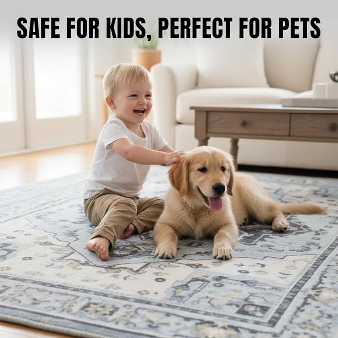 Muddy Mat짰 Azure 2ft x 7ft Washable Area Rugs for Living Room, Bedroom & Dining Room ??Modern Soft Low Pile Non Slip Carpet ??Pet Friendly Waterproof Foldable Rugs for Home